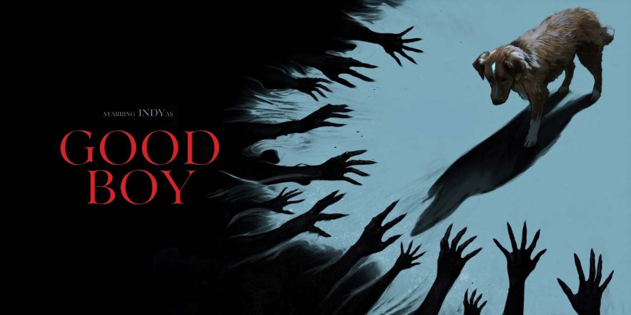 Good Boy [2025] – Movie Review (4/5)