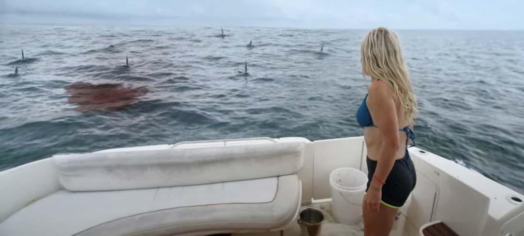 Great White Waters (2025) – Review | Tubi Shark Thriller