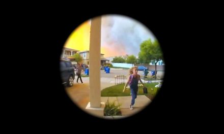 Home Invasion – Fantasia Review (3/5)