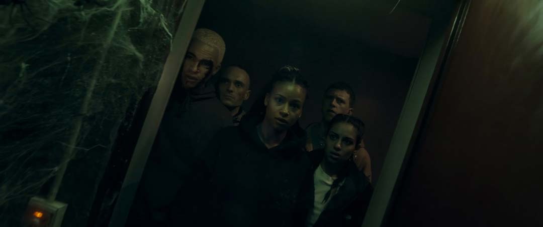 Infested (2023) – Review | Shudder Spider Horror