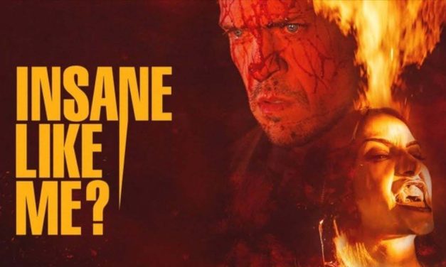 Insane Like Me? – Movie Review (2/5)