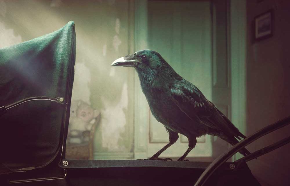 Kindred – Movie Review (4/5)