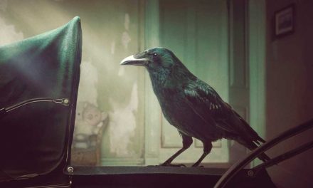 Kindred – Movie Review (4/5)