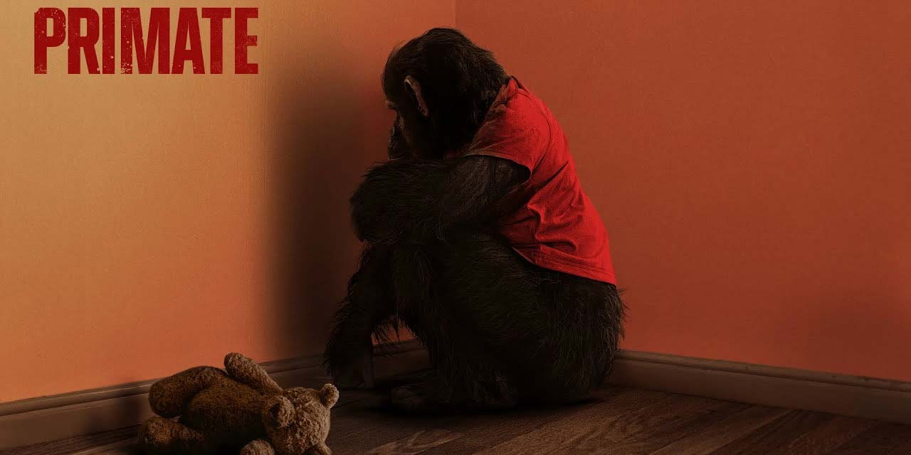 Primate (2026)