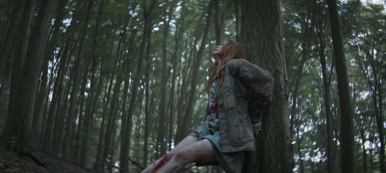 The Strangers: Chapter 2 (2025)